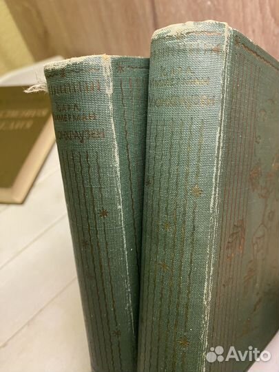 Карл иммерман 