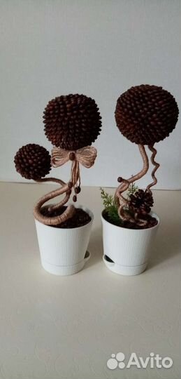 Топиарий из зёрен кофе