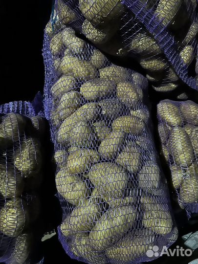 Картофель оптом