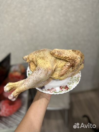 Молодые петухи