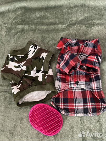 Одежда для маленьких собак