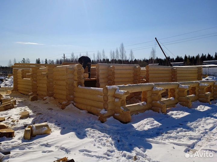 Срубы ручной рубки из Архангельск. Обл. Зимний лес