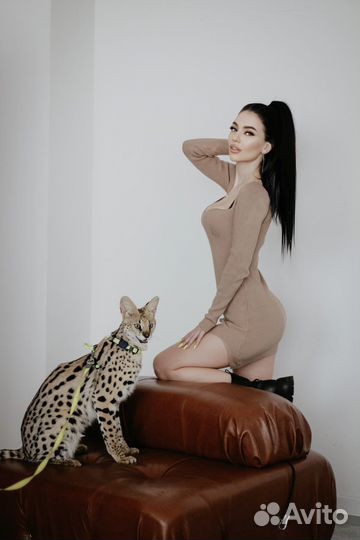 Smm/Смм специалист/Контент съемка/Съемка Reels