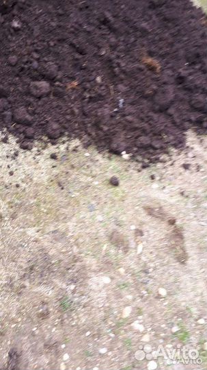 Навоз коровий для вноса в почву