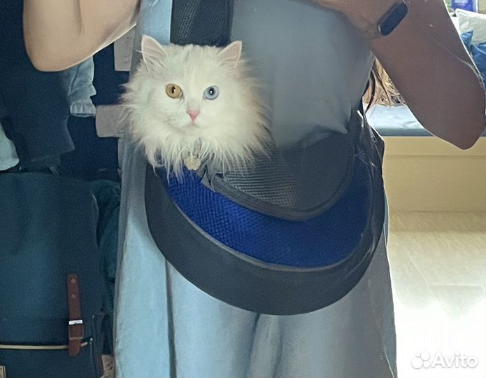 Переноска наплечная для кошки
