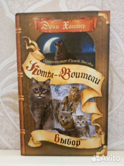 Коты-Воители 