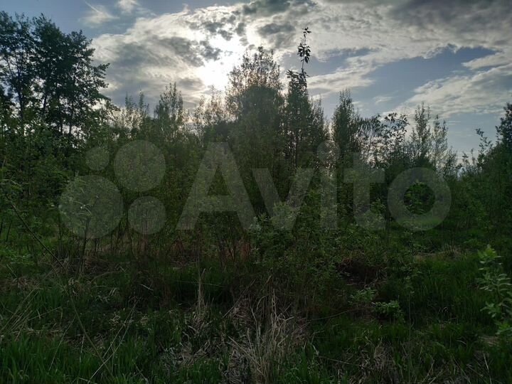 Дом 31,9 м² на участке 20 сот.