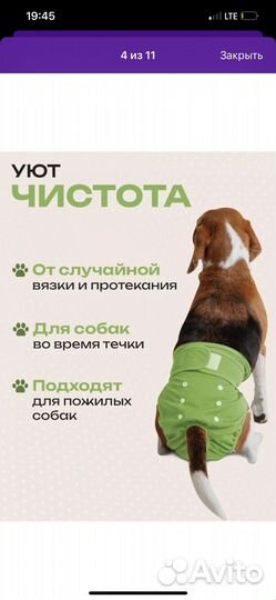 Многоразовые трусики для собак