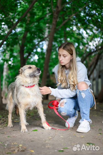 Небольшой молодой парень Верный