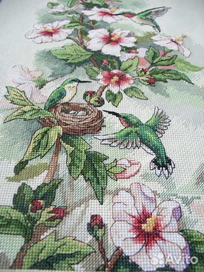 Колибри и клематис