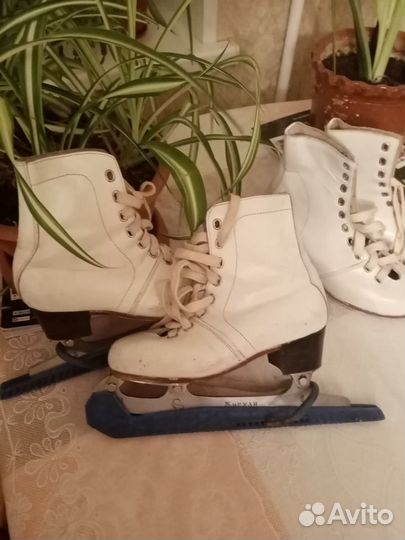 Коньки и новые кожаные ботинки