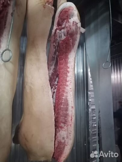 Мясо, живок, свинина