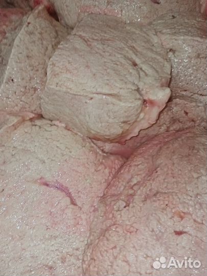 Корм/мясо/субпродукты для собак