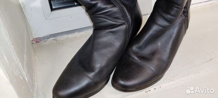 Сапоги женские зимние