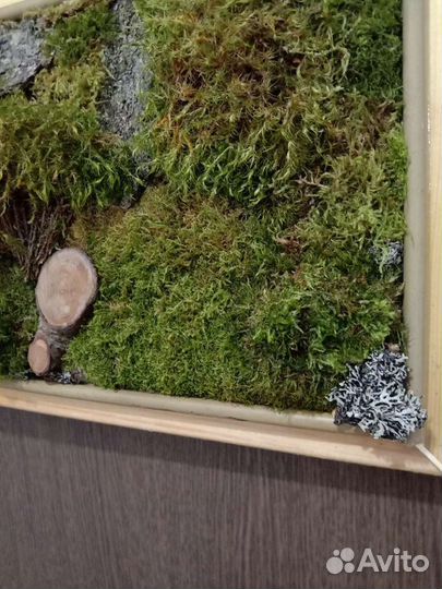Панно из мха