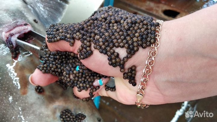 Помощь вашему бизнесу