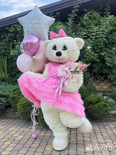 Подарок на День Рождения, Поздравление от Мишки