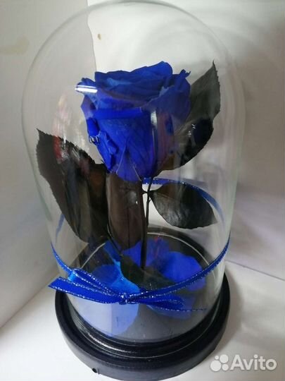 Роза в колбе синяя