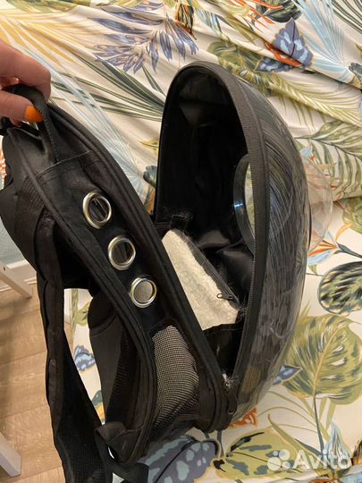 Переноска - рюкзак с окном