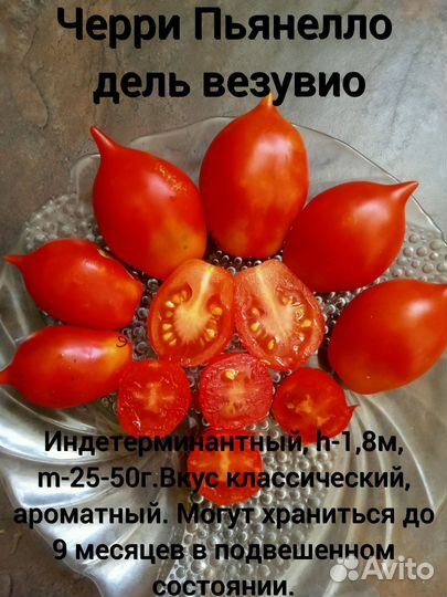 Семена коллекционных томатов Черри