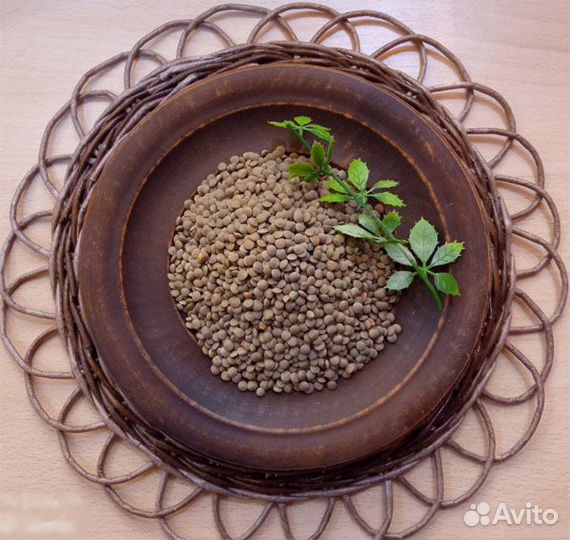 Чечевица красная