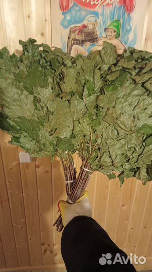 Веники для бани Береза, Клен, Липа