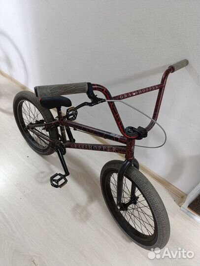 BMX Tech Team Grasshoper