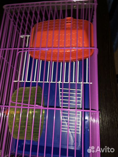 Клетка для хомяка бу