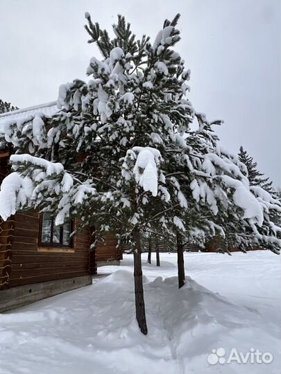 Русская баня на дровах за городом