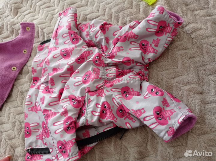 Весенний комбинезон для маленькой собачки 22