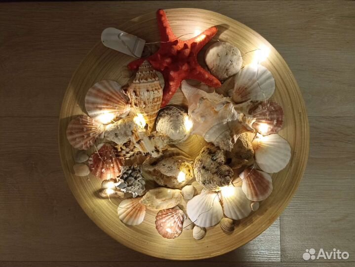 Ракушки набор