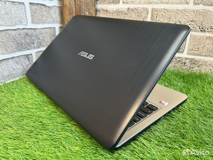 Быстрый Asus 2019 5 ядер/озу 8/SSD256