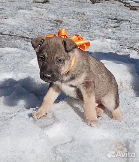Малыши карандаши в добрые руки