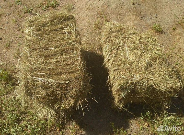 Сено, 21-25 кг, кипа 0,6х0,5х0,4 м