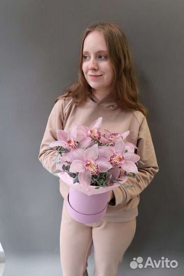 Орхидея фаленопсис