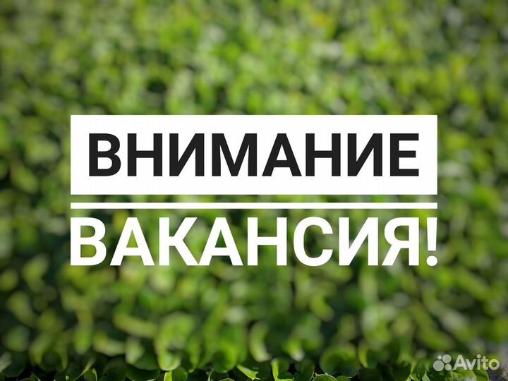 Упаковка/погрузка мясной цех Вахта Брянская обл