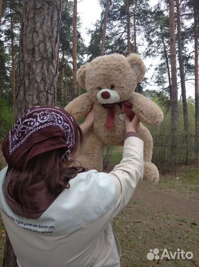 Плюшевый мишка