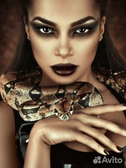 Фотосессии с животными змея, пауки, ящерицы