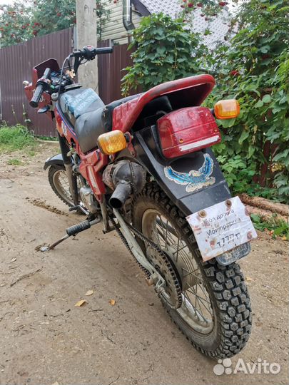 Зид 50 пилот
