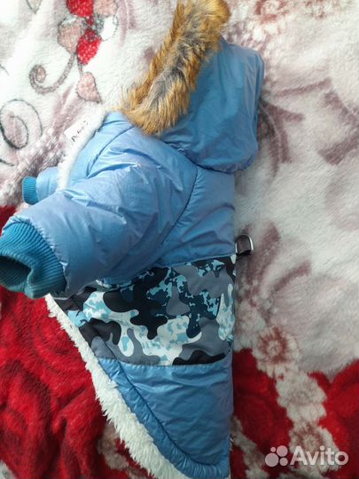 Одежда для маленьких собак или щенка