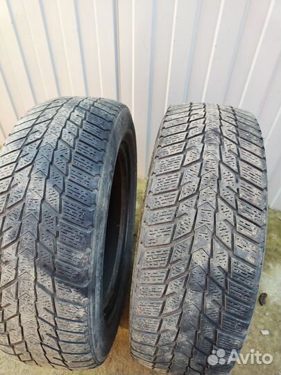 Nexen Winguard Ice Plus 175/65 R14 86T