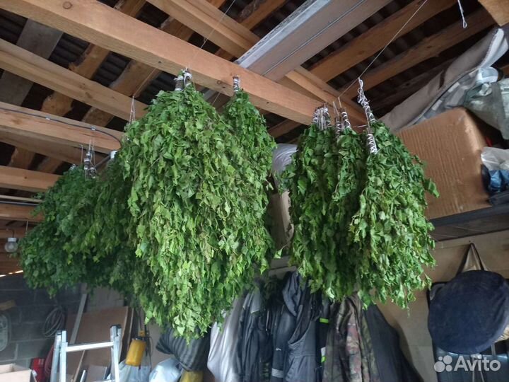 Веники для бани берёзовые