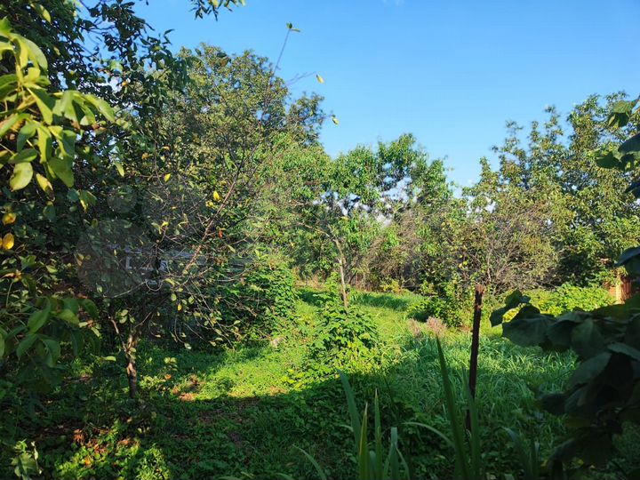 Участок 5,4 сот. (СНТ, ДНП)