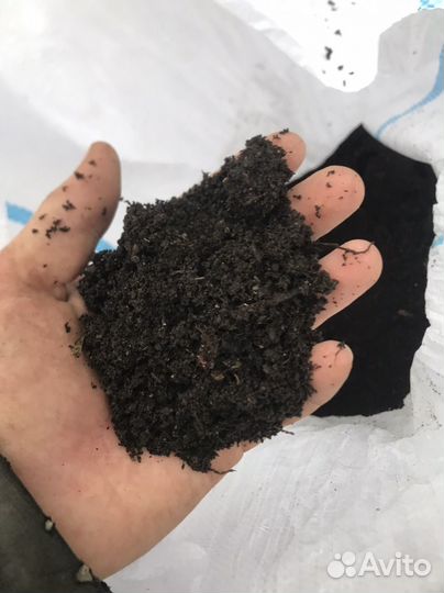 Перегной (биогумус)