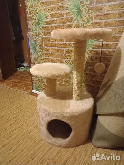 Когтеточка