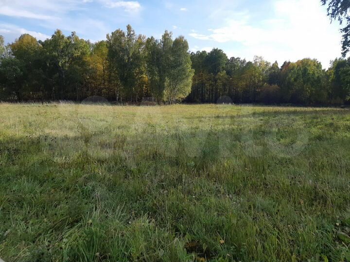 Участок 5,5 га (СНТ, ДНП)