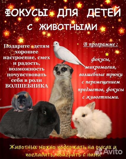 Фокусник на праздник для детей И взрослых