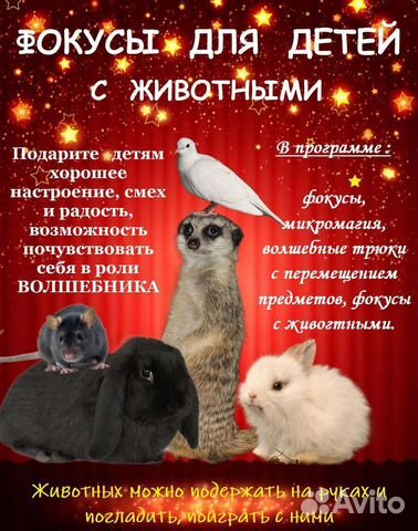 Фокусник на праздник для детей И взрослых