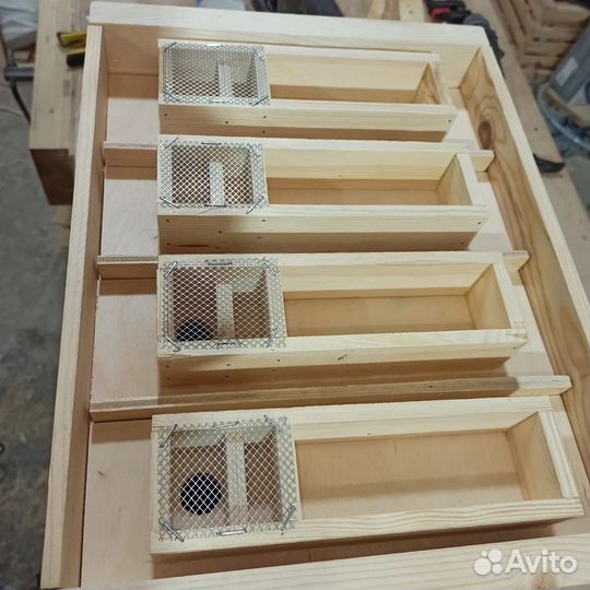 Улей-нуклеус