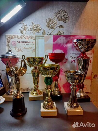 Вязка папийон